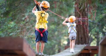 Paths of skill in the adventure park